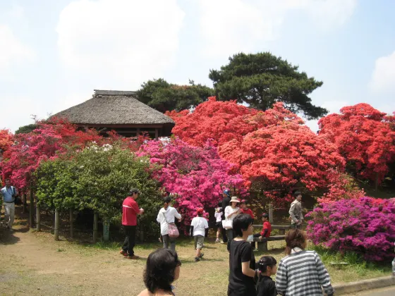 Tsutsujigaoka Park (Tatebayashi), photo 2