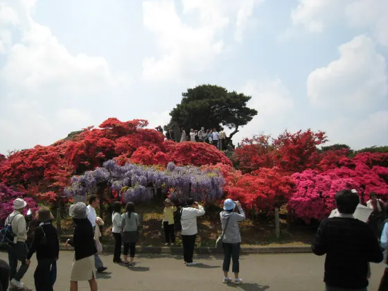 Tsutsujigaoka Park (Tatebayashi), photo 3