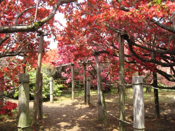 Tsutsujigaoka Park (Tatebayashi), photo 4