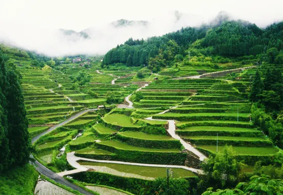 Tsuzura Terraced Rice Fields, photo 2