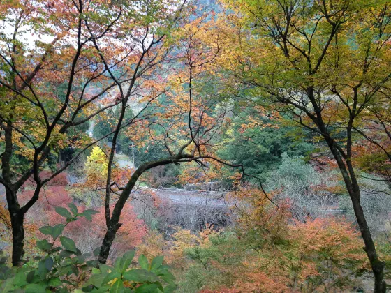Yabakei Gorge, photo 2