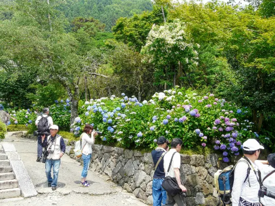 Yata-dera Temple, photo 2