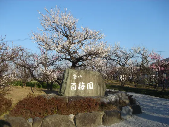 Anpachi Hyakubaien, photo 2