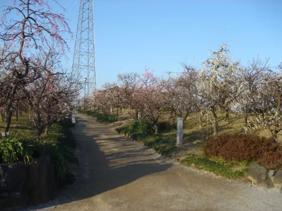 Anpachi Hyakubaien, photo 3