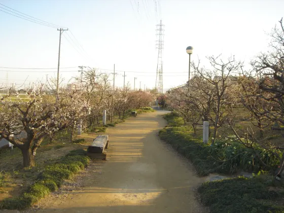 Anpachi Hyakubaien, photo 4