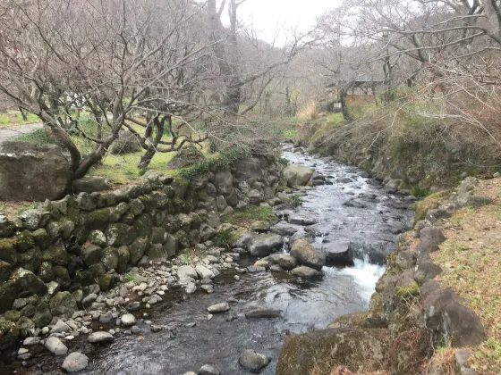 Atami Plum Garden, photo 4