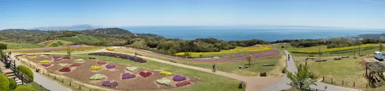 Awaji Hanasajiki (Hyogo), photo 2