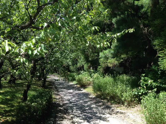 Bairin-ji Temple Garden (Kurume), photo 2