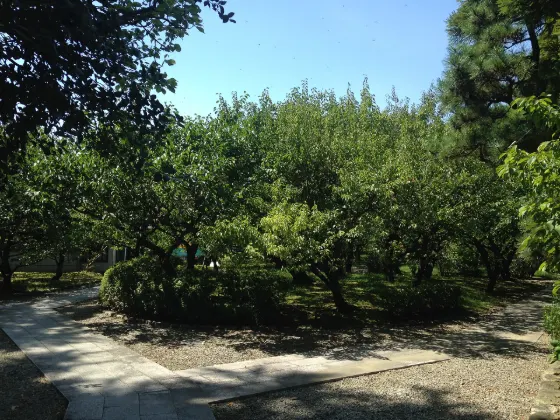 Bairin-ji Temple Garden (Kurume), photo 4