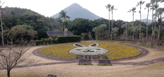 Flower Park Kagoshima, photo 2
