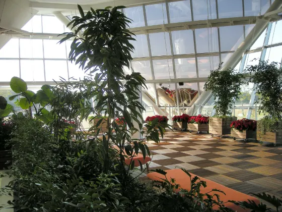 Flower Park Konan (Aichi), photo 2