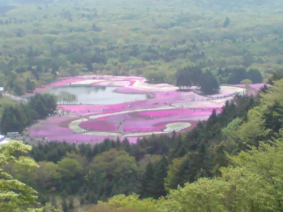 Fuji Motosuko Resort (Yamanashi), photo 2