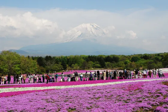 Fuji Motosuko Resort (Yamanashi), photo 3