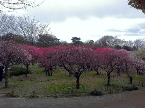 Gifu Bairin Park, photo 2