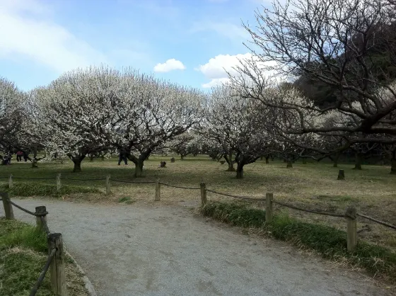 Gifu Bairin Park, photo 3