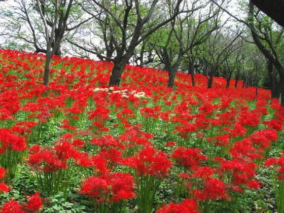 Gongendo Park, photo 2