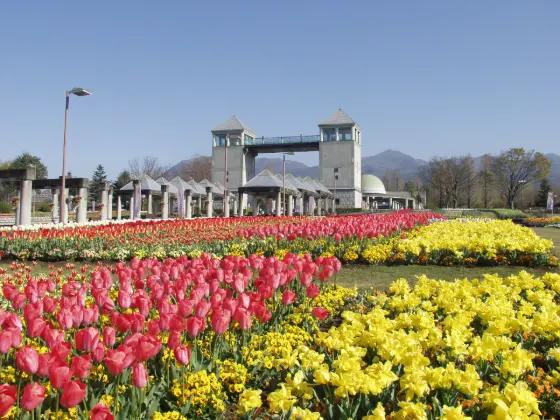 Gunma Flower Park (Gunma), photo 2