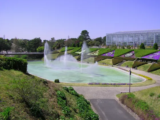 Hamamatsu Flower Park, photo 3