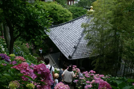 Hasedera Temple, photo 2