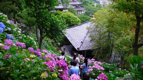 Hasedera Temple, photo 3