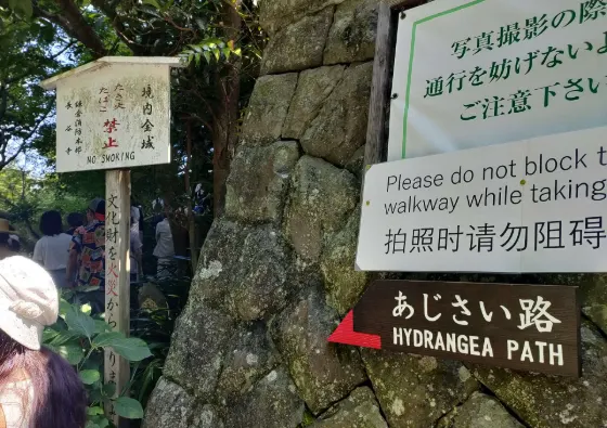 Hasedera Temple, photo 4