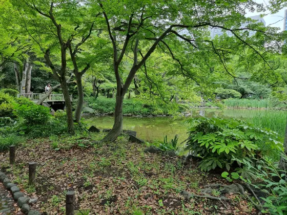 Hibiya Park, photo 2