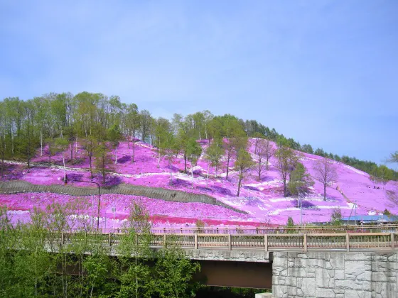Higashimokoto Shibazakura Park, photo 3