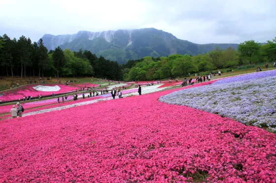 Hitsujiyama Park (Saitama), photo 2