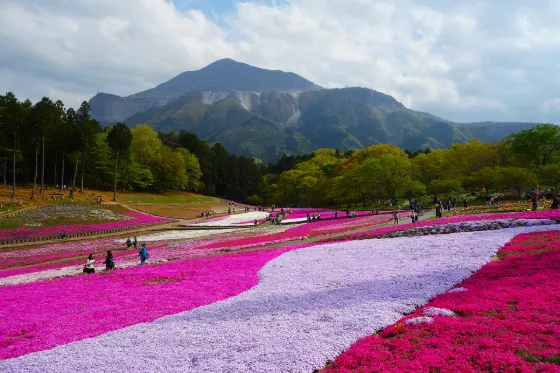 Hitsujiyama Park (Saitama), photo 3