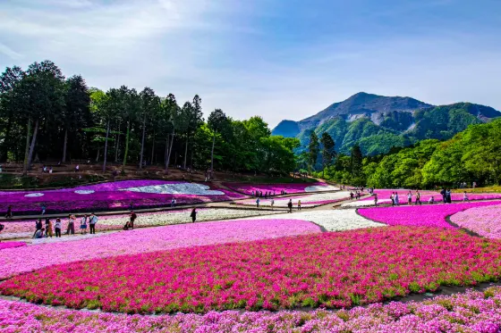 Hitsujiyama Park (Saitama), photo 4