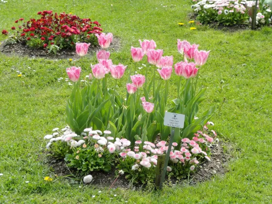 Huis Ten Bosch (Nagasaki), photo 4
