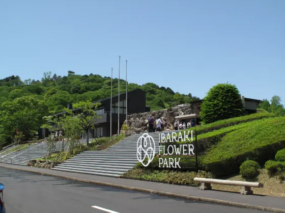 Ibaraki Flower Park, photo 2