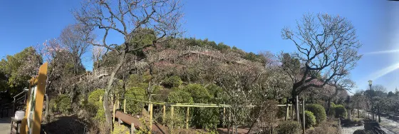 Ikegami Plum Garden, photo 2