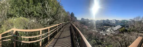 Ikegami Plum Garden, photo 3