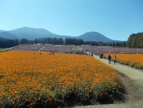 Ikoma Kogen, photo 2