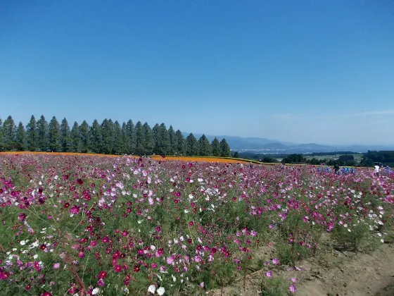 Ikoma Kogen, photo 3