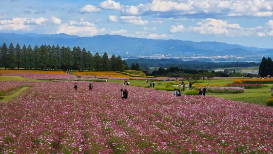 Ikoma Kogen, photo 4