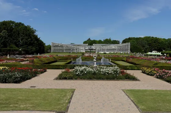 Jindai Botanical Gardens, photo 2