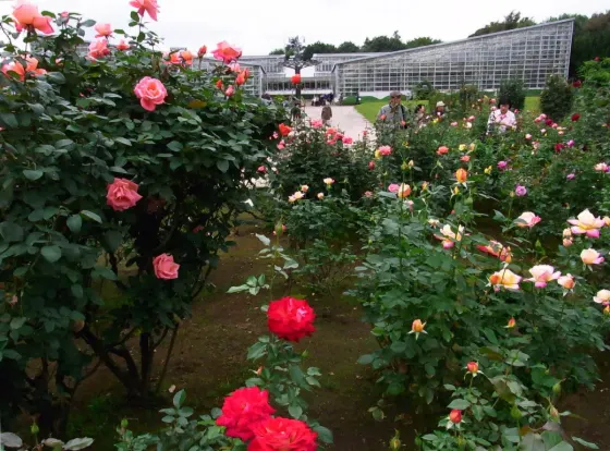 Jindai Botanical Gardens, photo 4