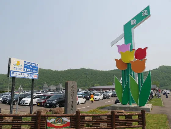 Kamiyubetsu Tulip Park, photo 3