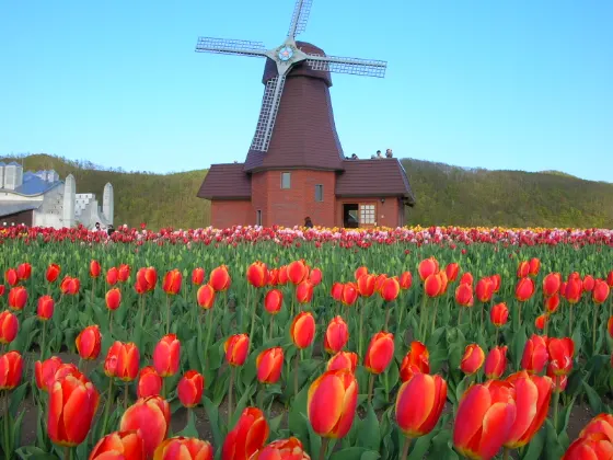 Kamiyubetsu Tulip Park, photo 4