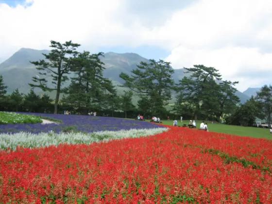 Kuju Flower Park (Oita), photo 2