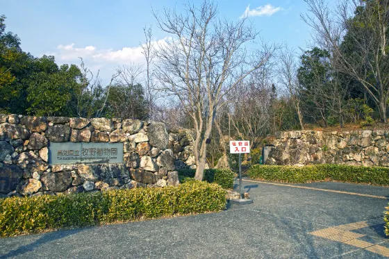 Makino Botanical Garden (Kochi), photo 2
