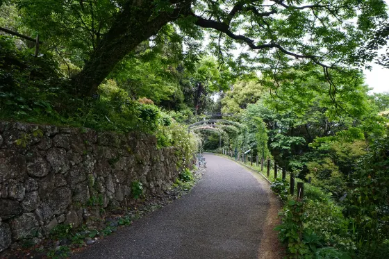 Makino Botanical Garden (Kochi), photo 3