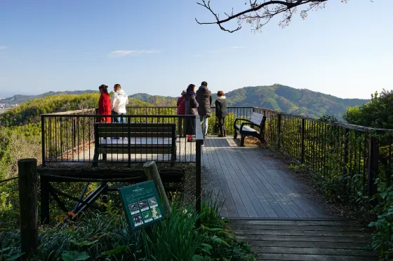 Makino Botanical Garden (Kochi), photo 4