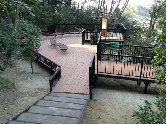 Matsuyama Sogo Park Camellia Garden, photo 2