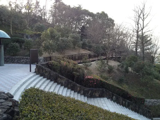 Matsuyama Sogo Park Camellia Garden, photo 3