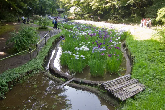 Meiji Jingu Inner Garden, photo 3