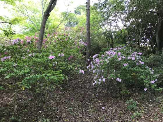 Mifuneyama Rakuen (Saga), photo 4