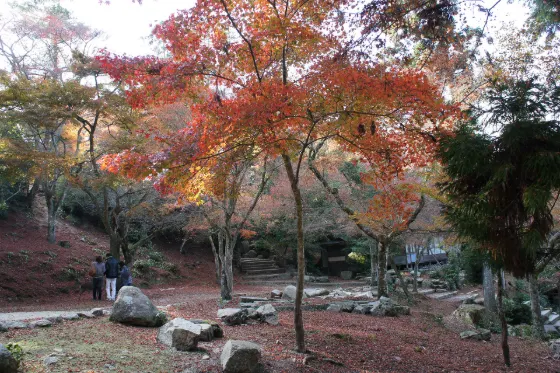 Momijidani Park (Miyajima), photo 2